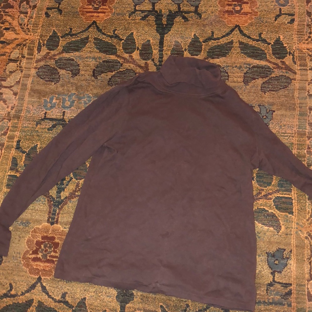 Brown Turtleneck long sleeved top